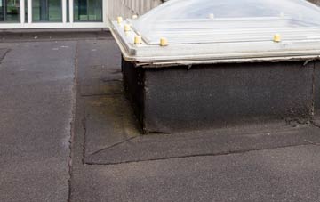 disadvantages of Balgunearie flat roofs