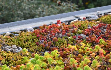 the cost of Balgunearie green roof installation